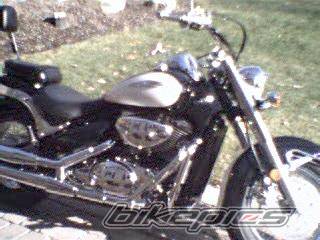 Photo 15881