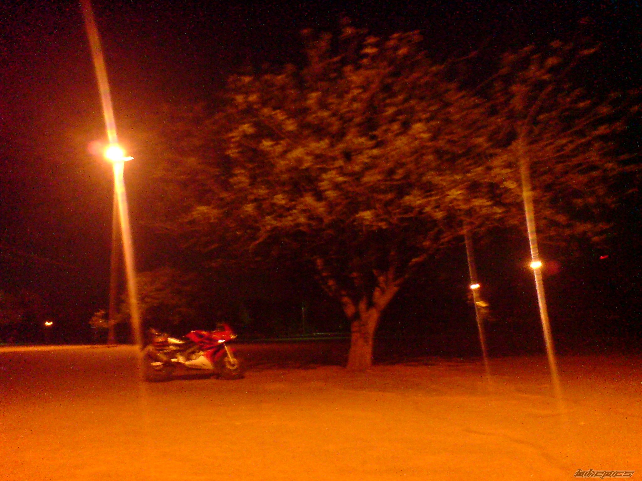 Photo 1588250