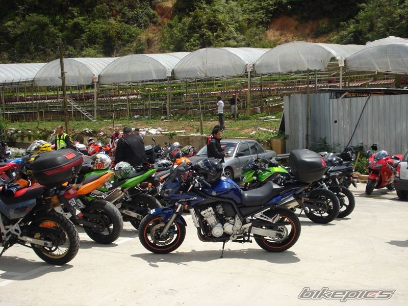Bike Photo 1588373