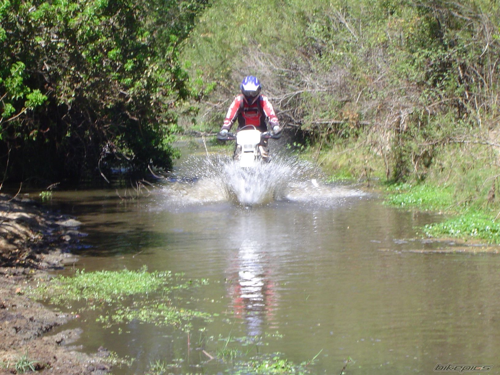 Bike Photo 1588376