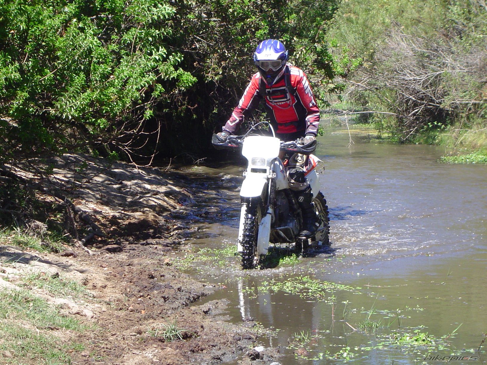 Bike Photo 1588377
