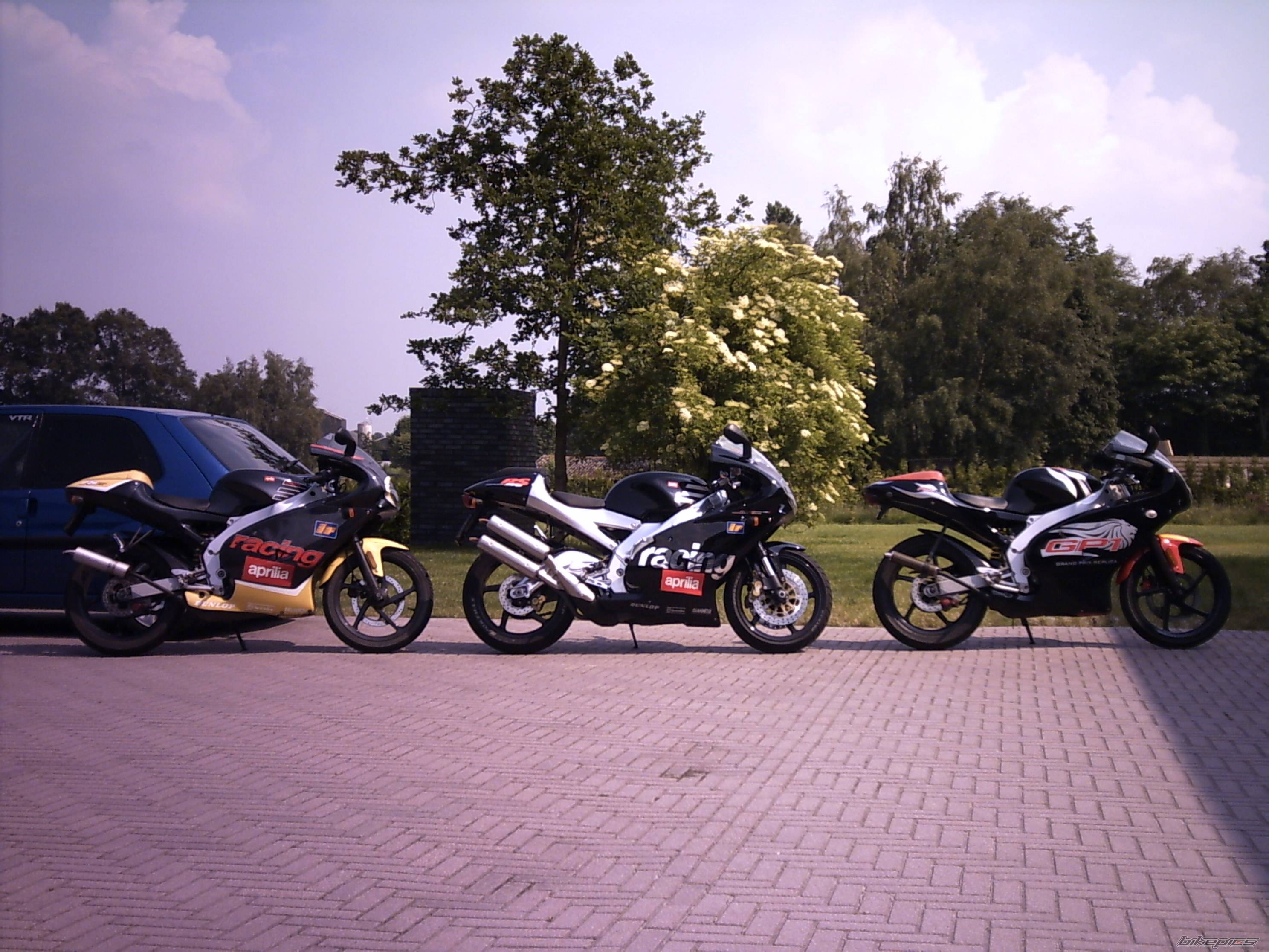 Photo 158853