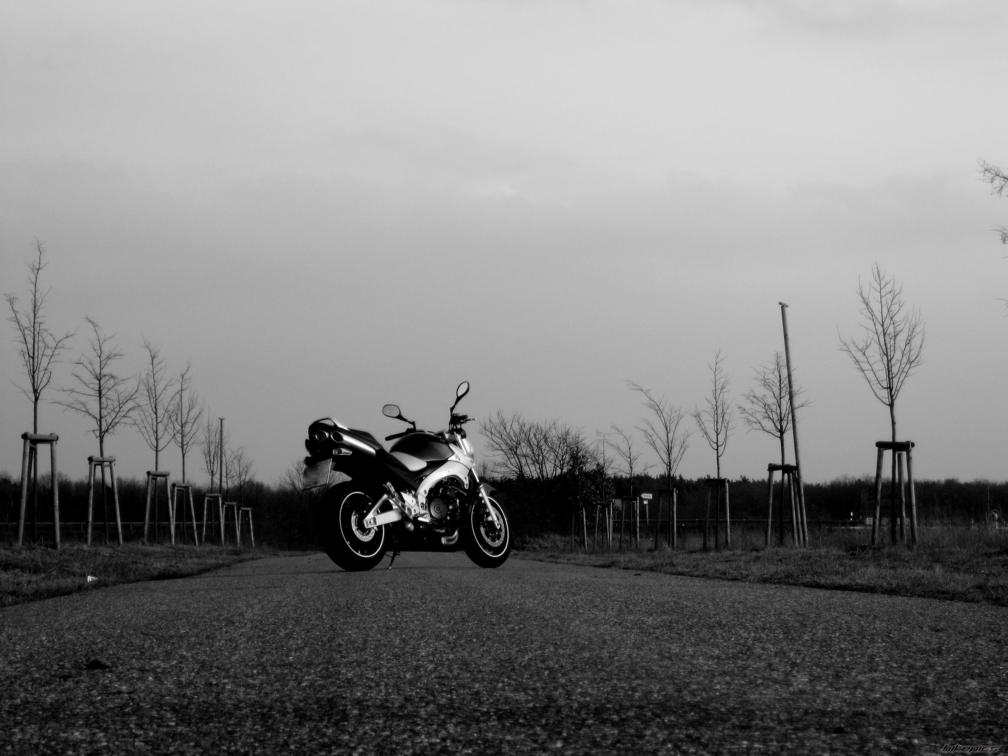Bike Photo 1588756