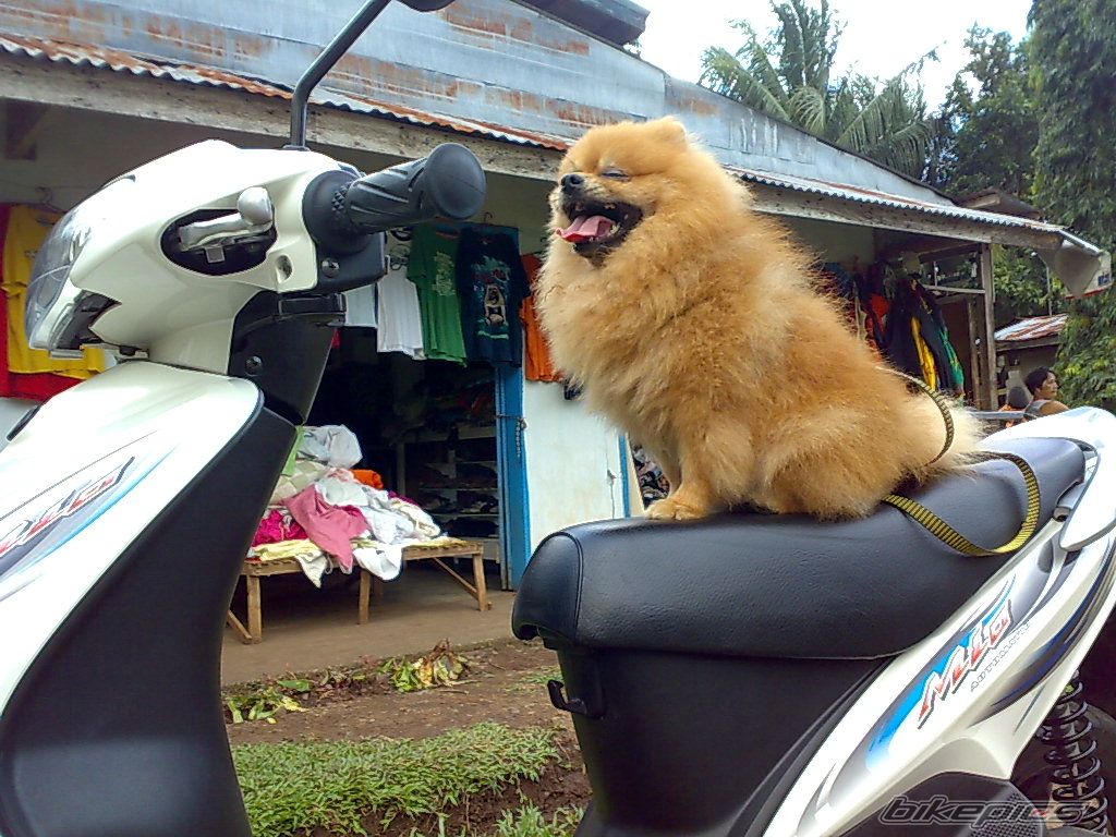 Bike Photo 1588914