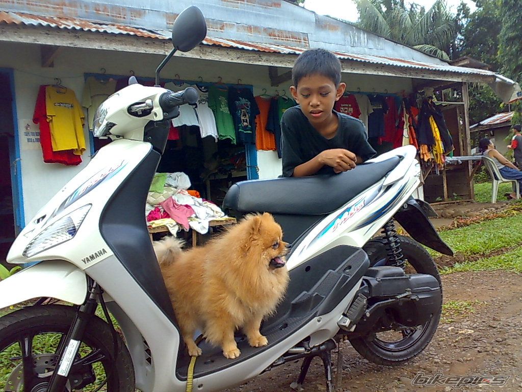 Bike Photo 1588922