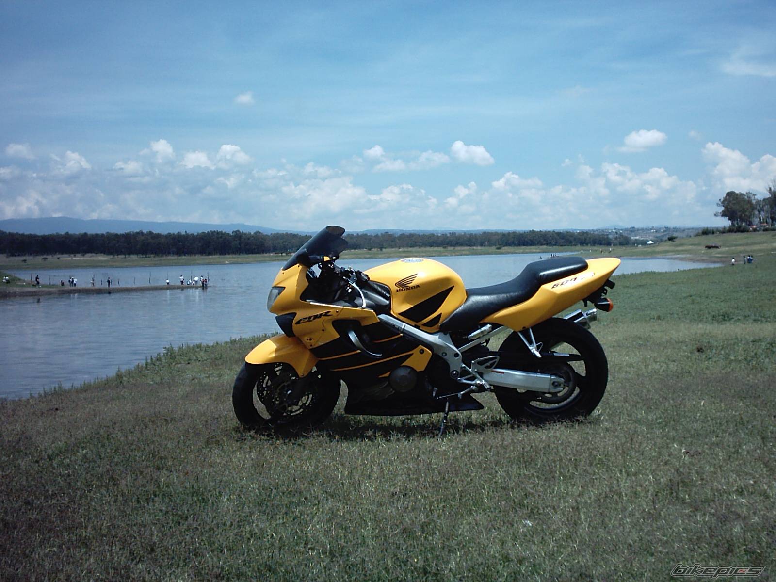 Photo 158894