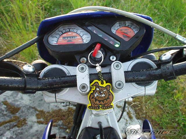 Photo 158910