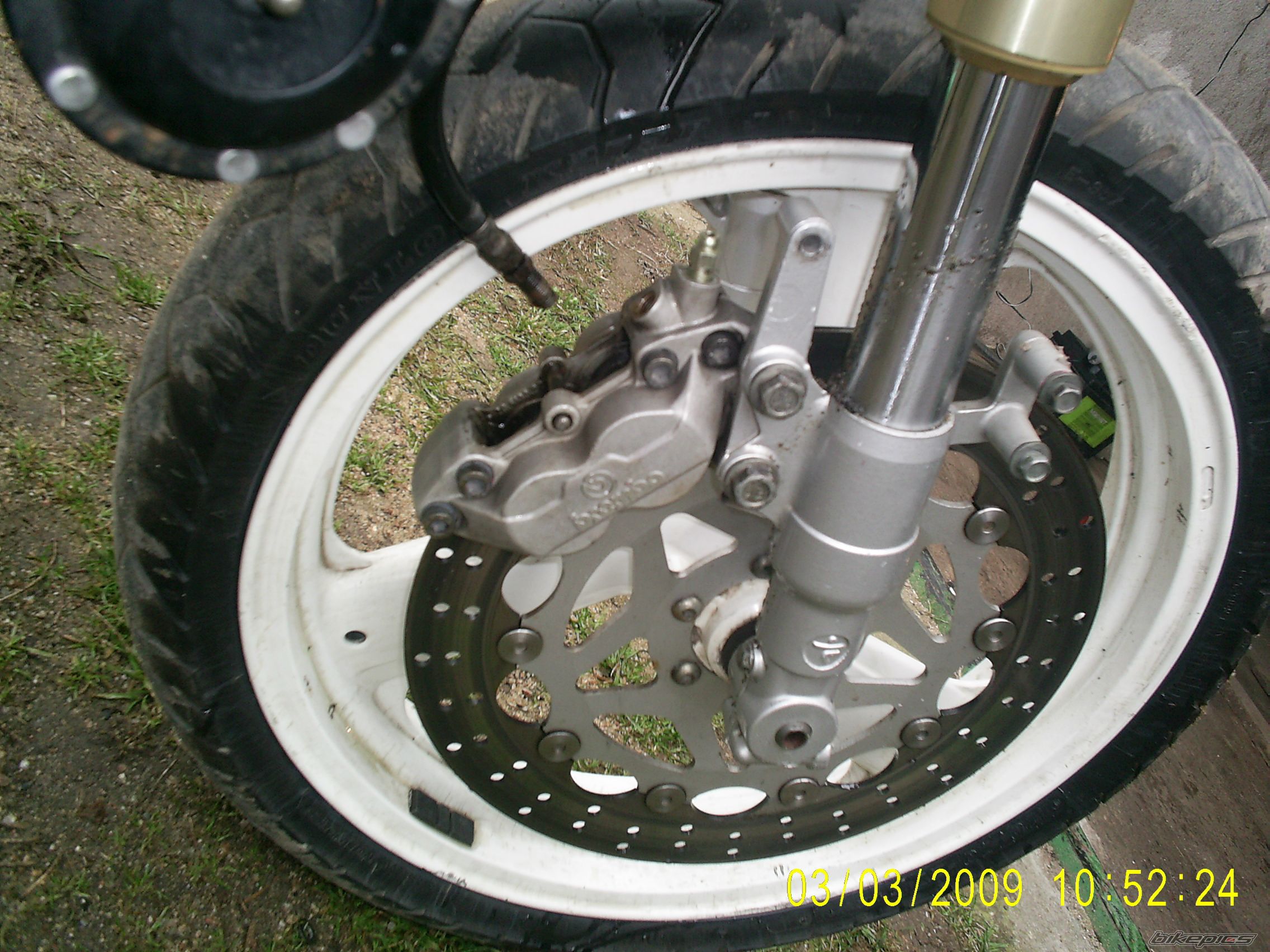 Photo 1589231