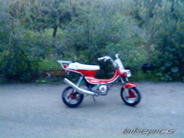 Photo 1589481
