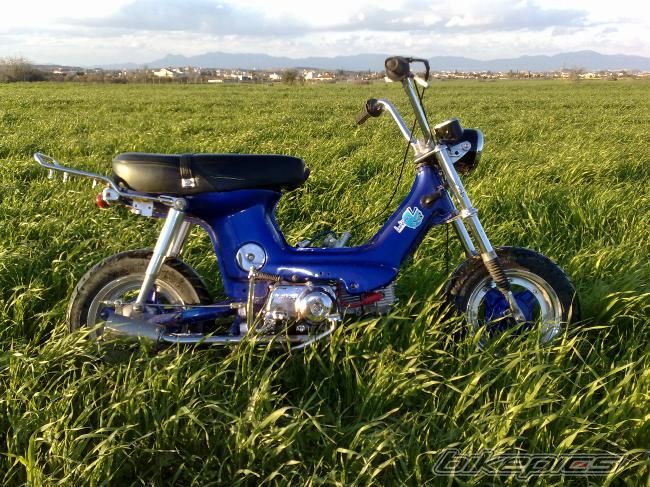 Photo 1589527