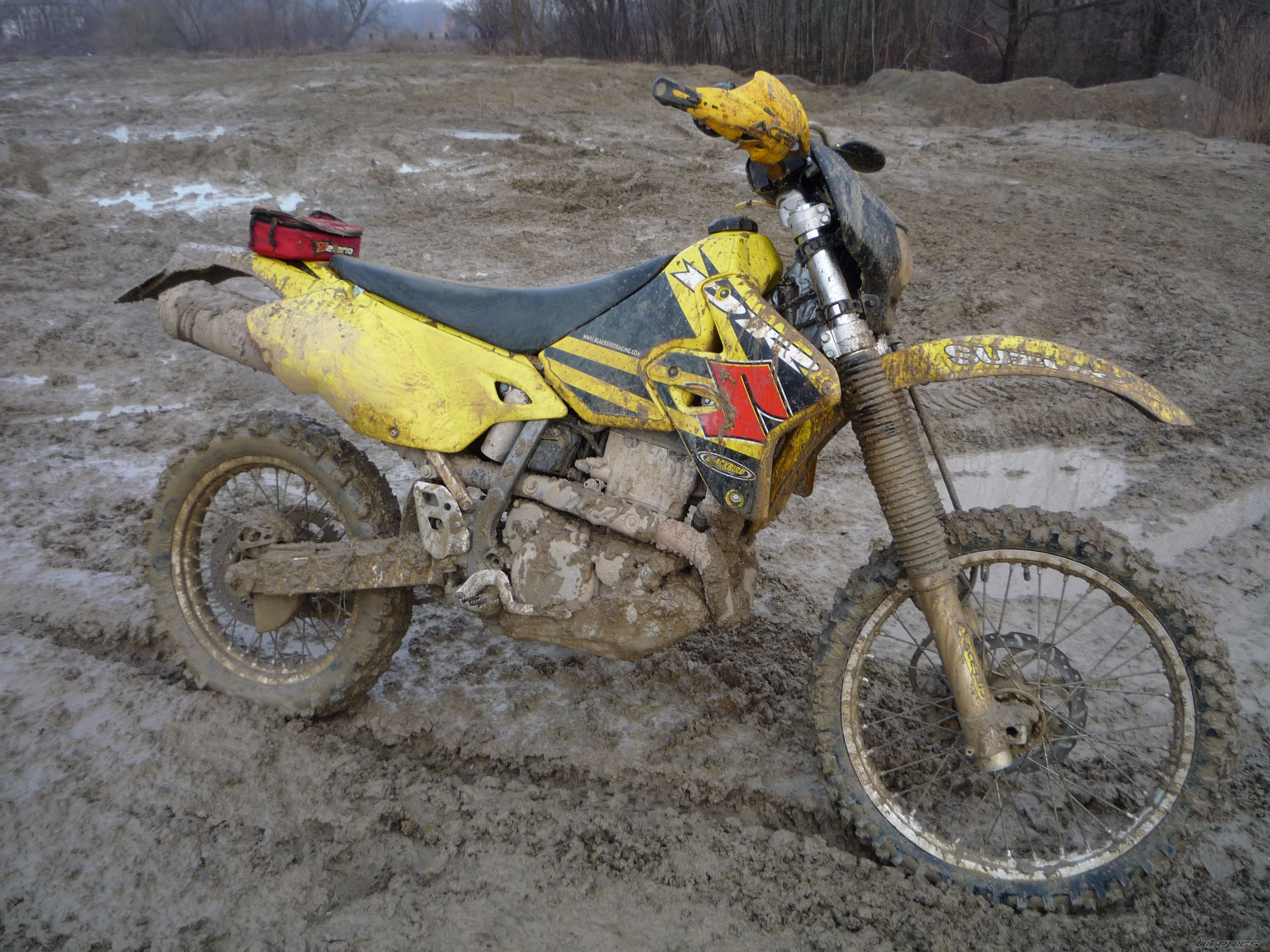 Photo 1589685