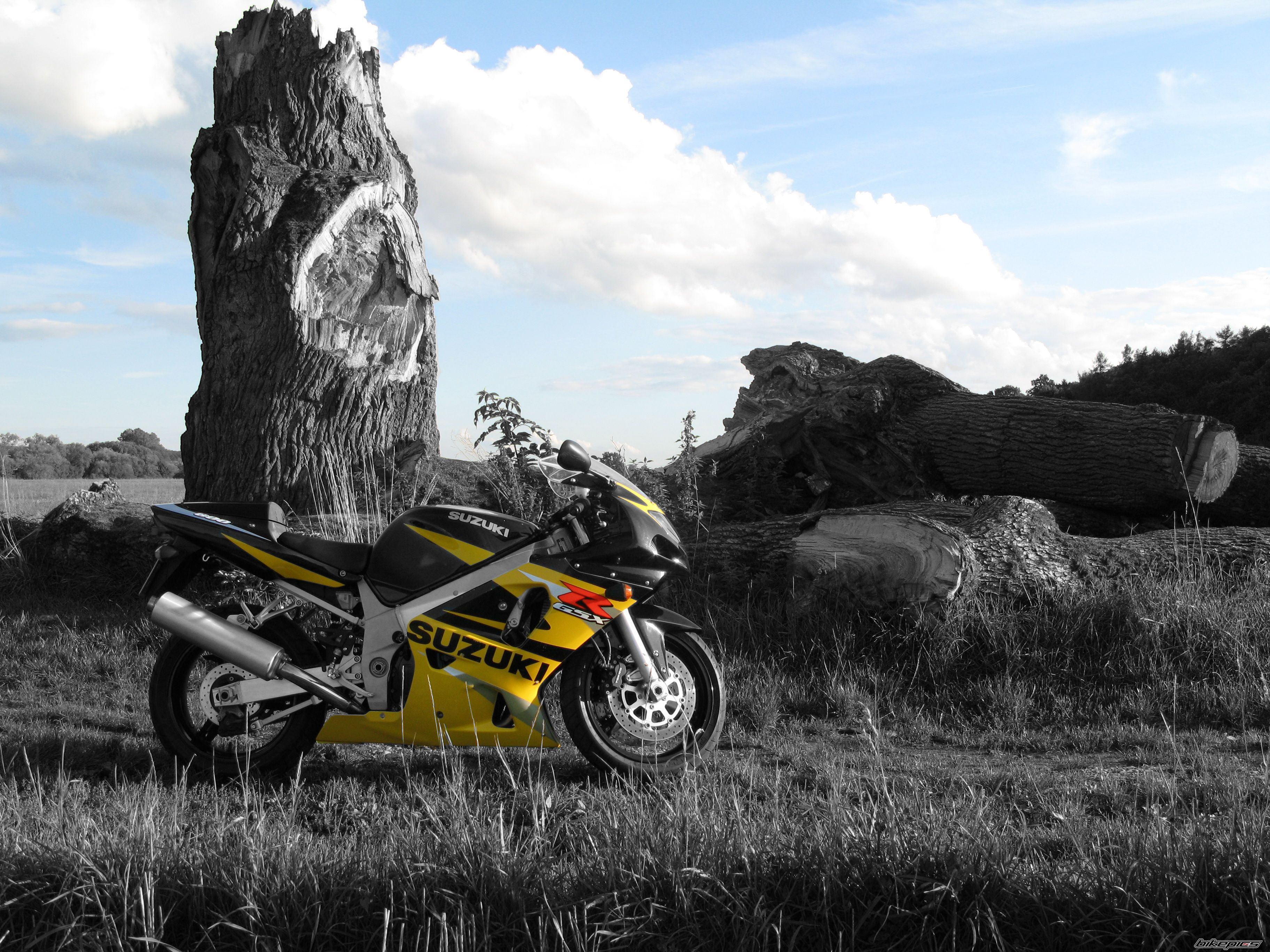 Bike Photo 1589907