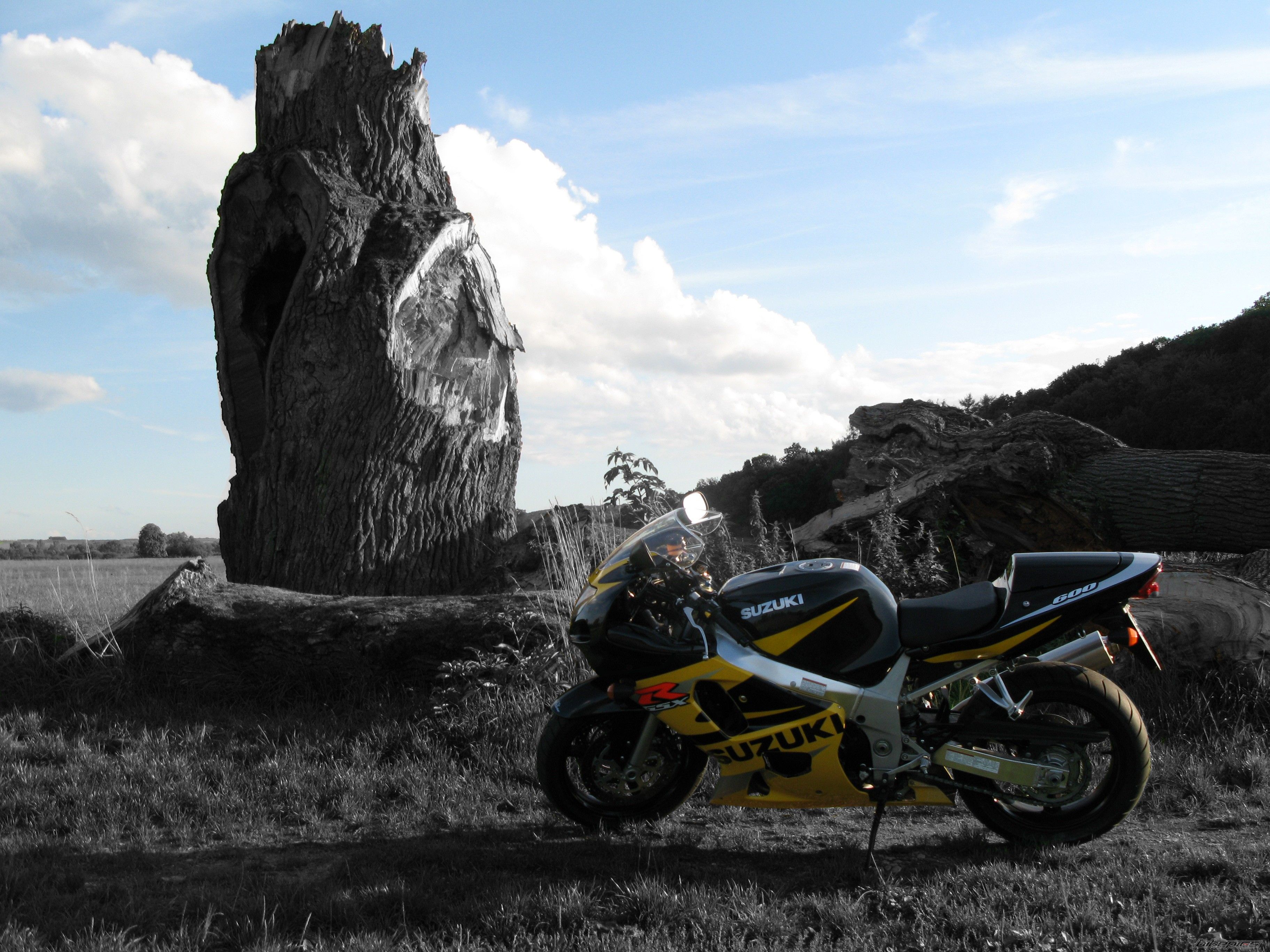 Bike Photo 1589911