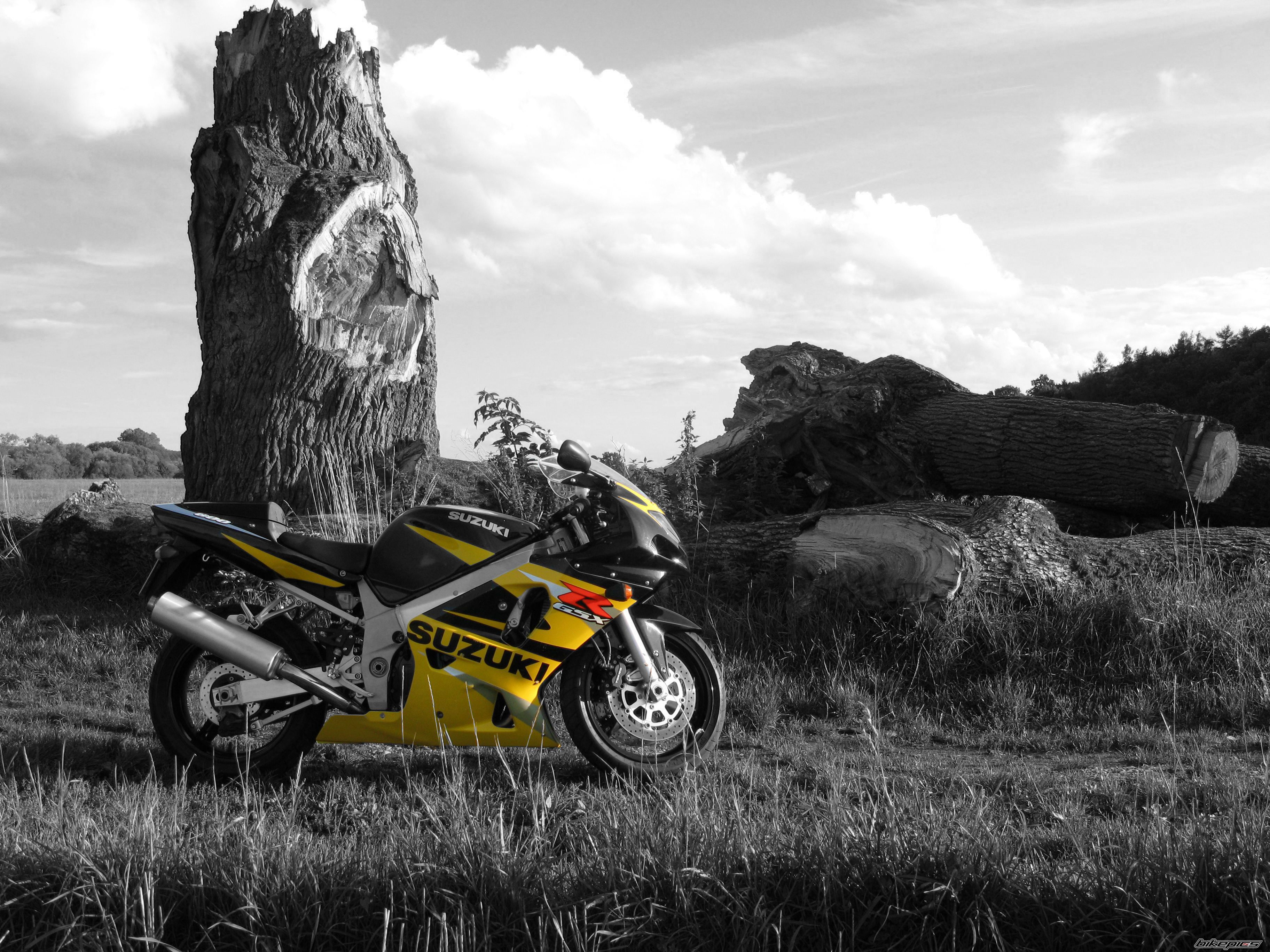 Bike Photo 1589915