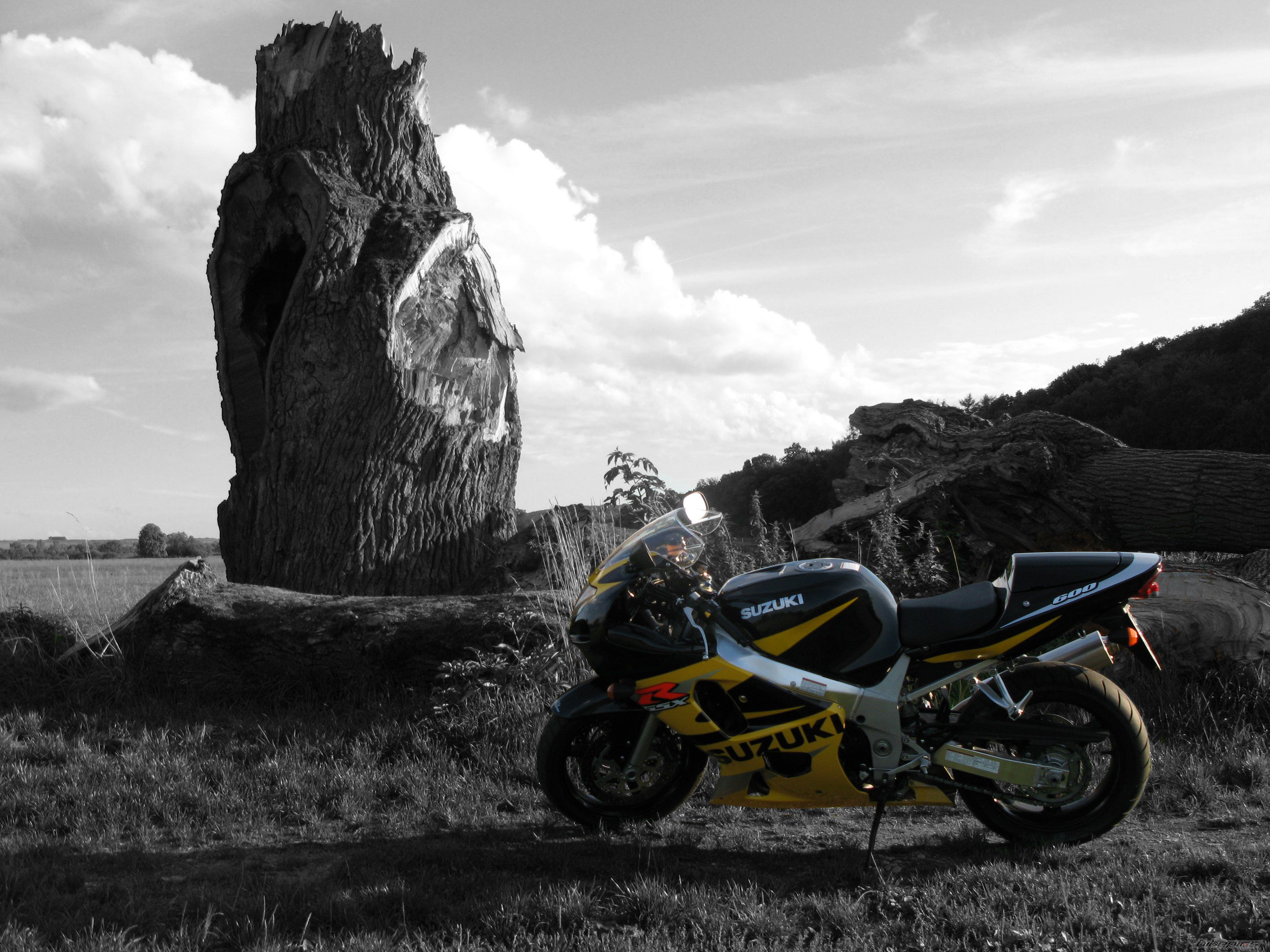 Bike Photo 1589925