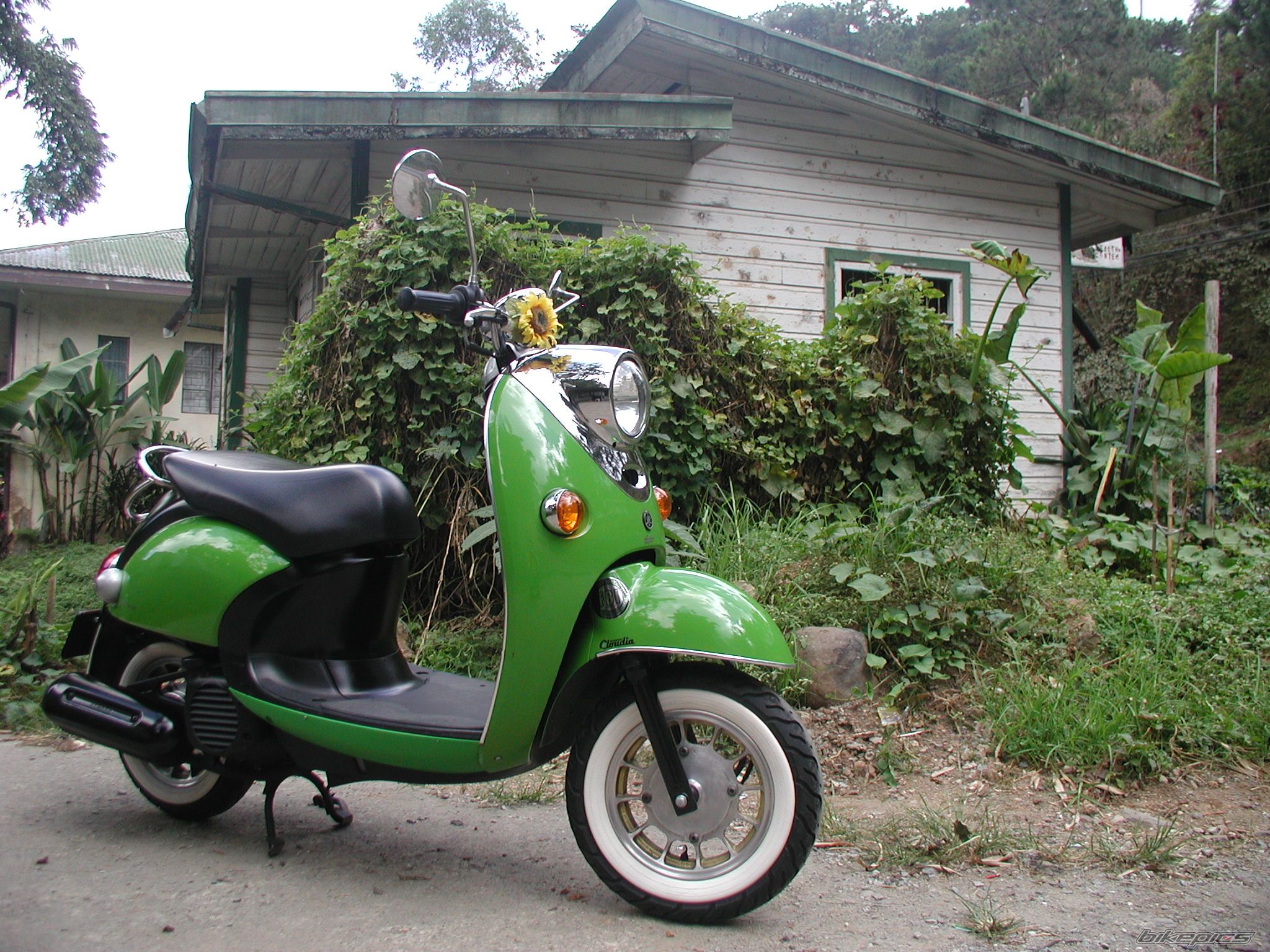 Bike Photo 1590272
