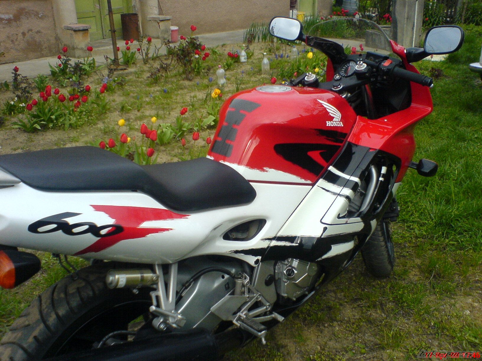 Photo 1590458