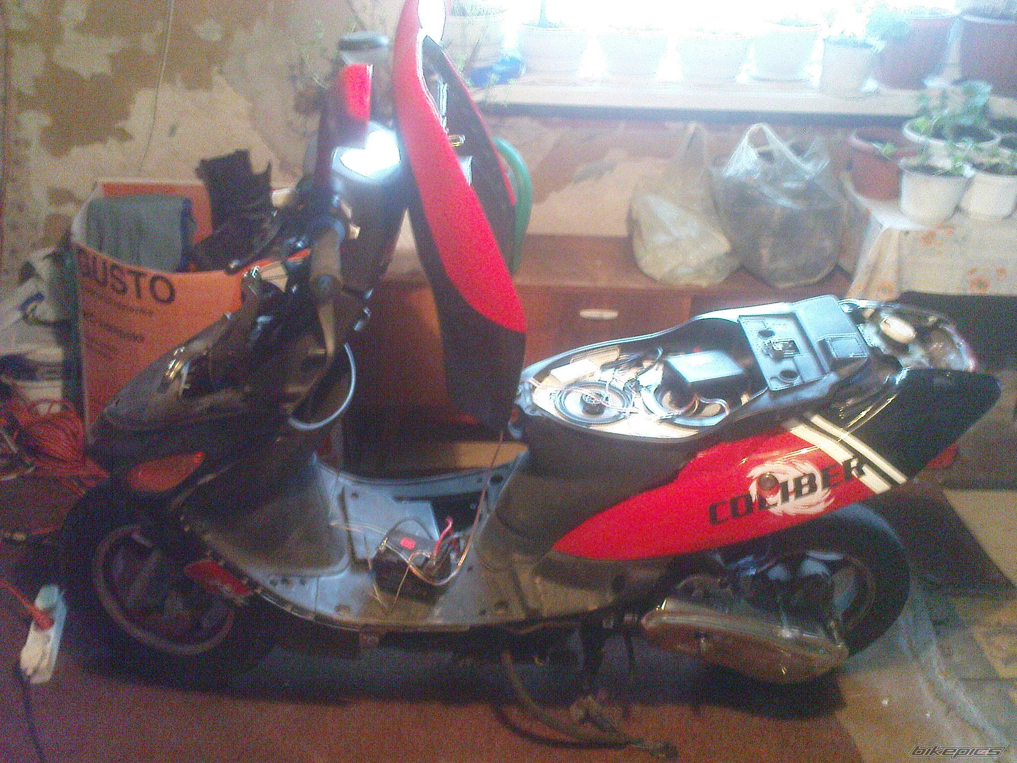 Photo 1590504
