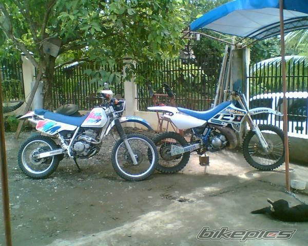 Bike Photo 1590943
