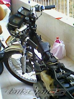 Photo 1590954