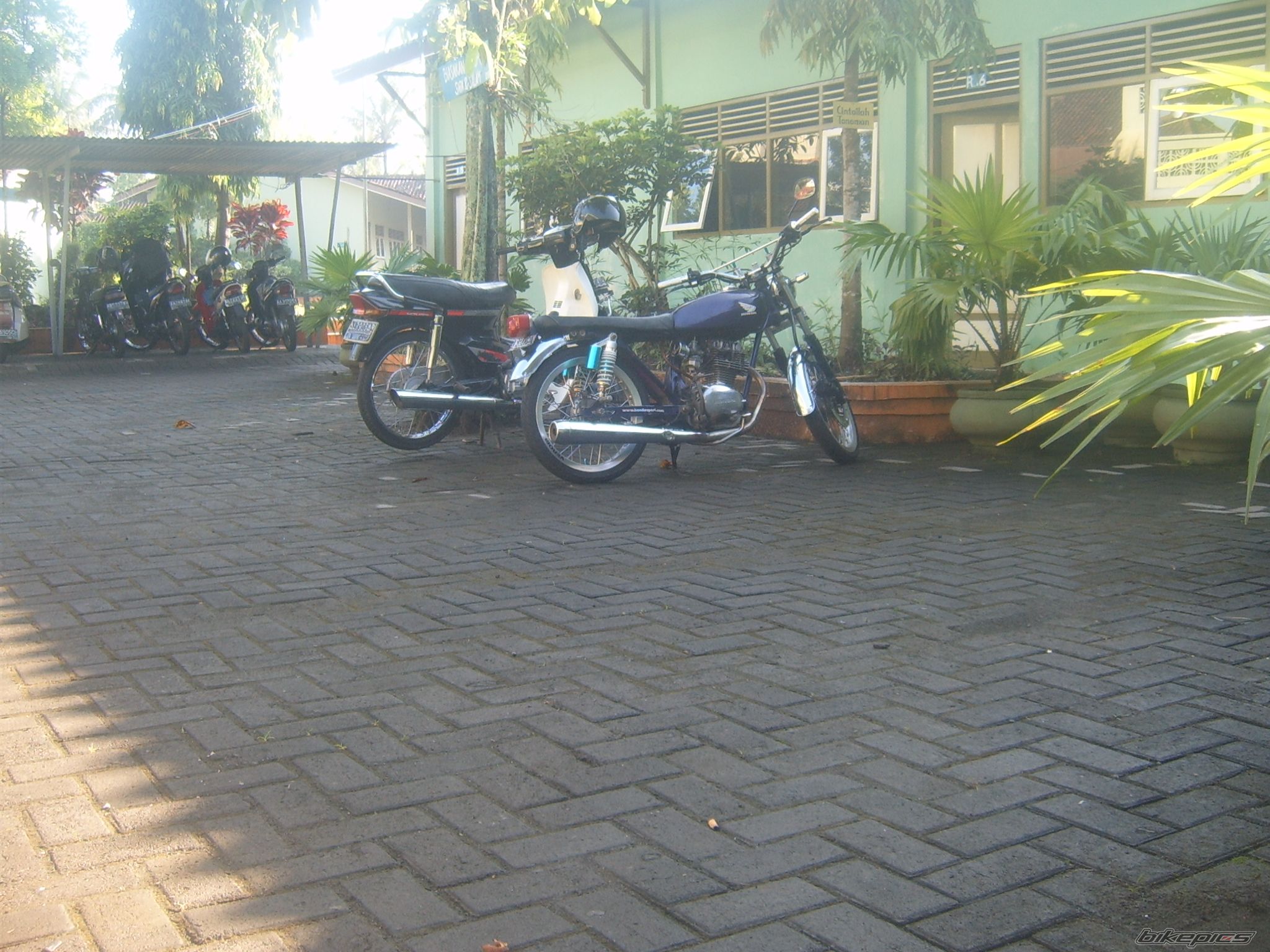 Photo 1590981