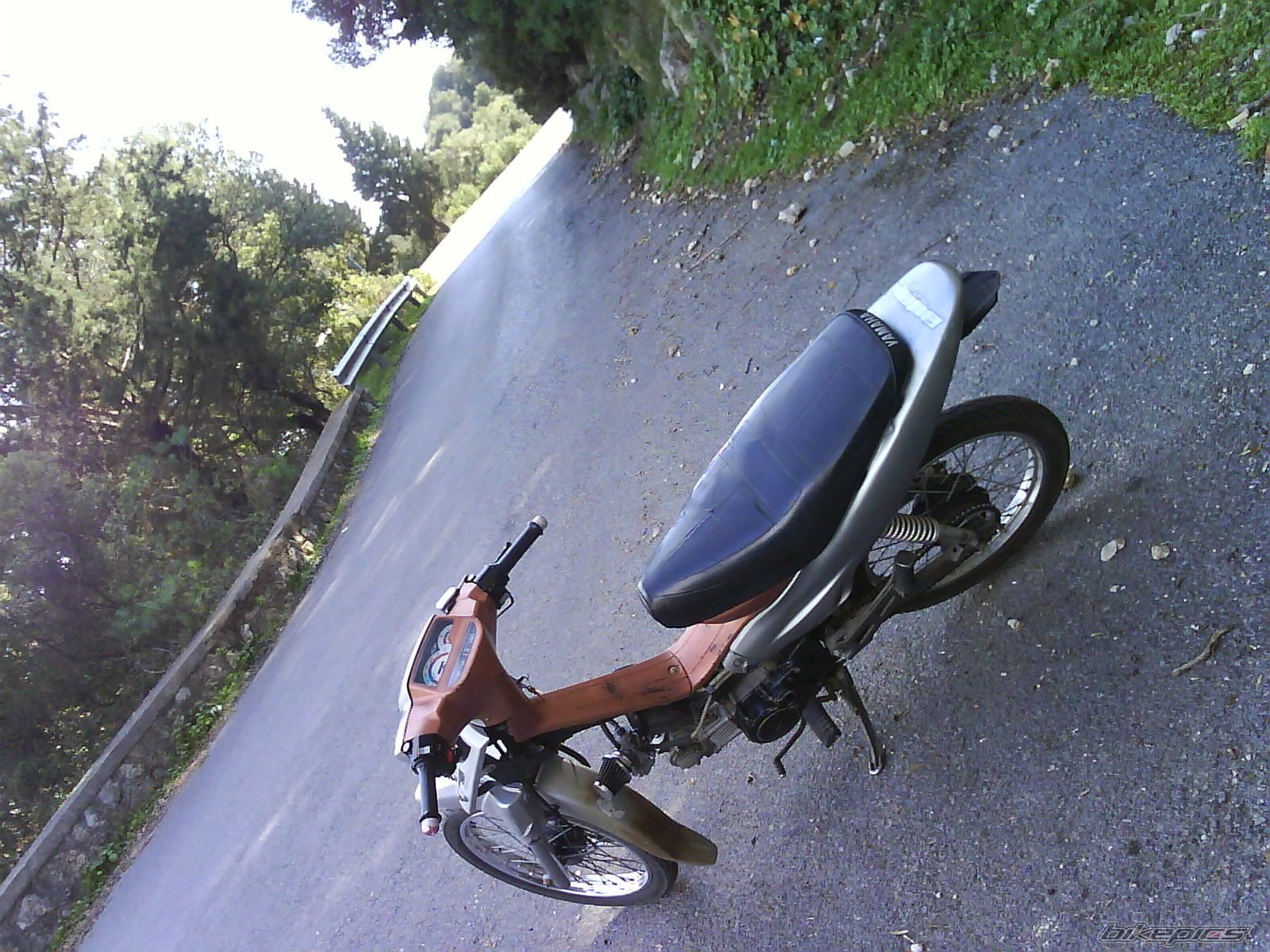 Photo 1591030