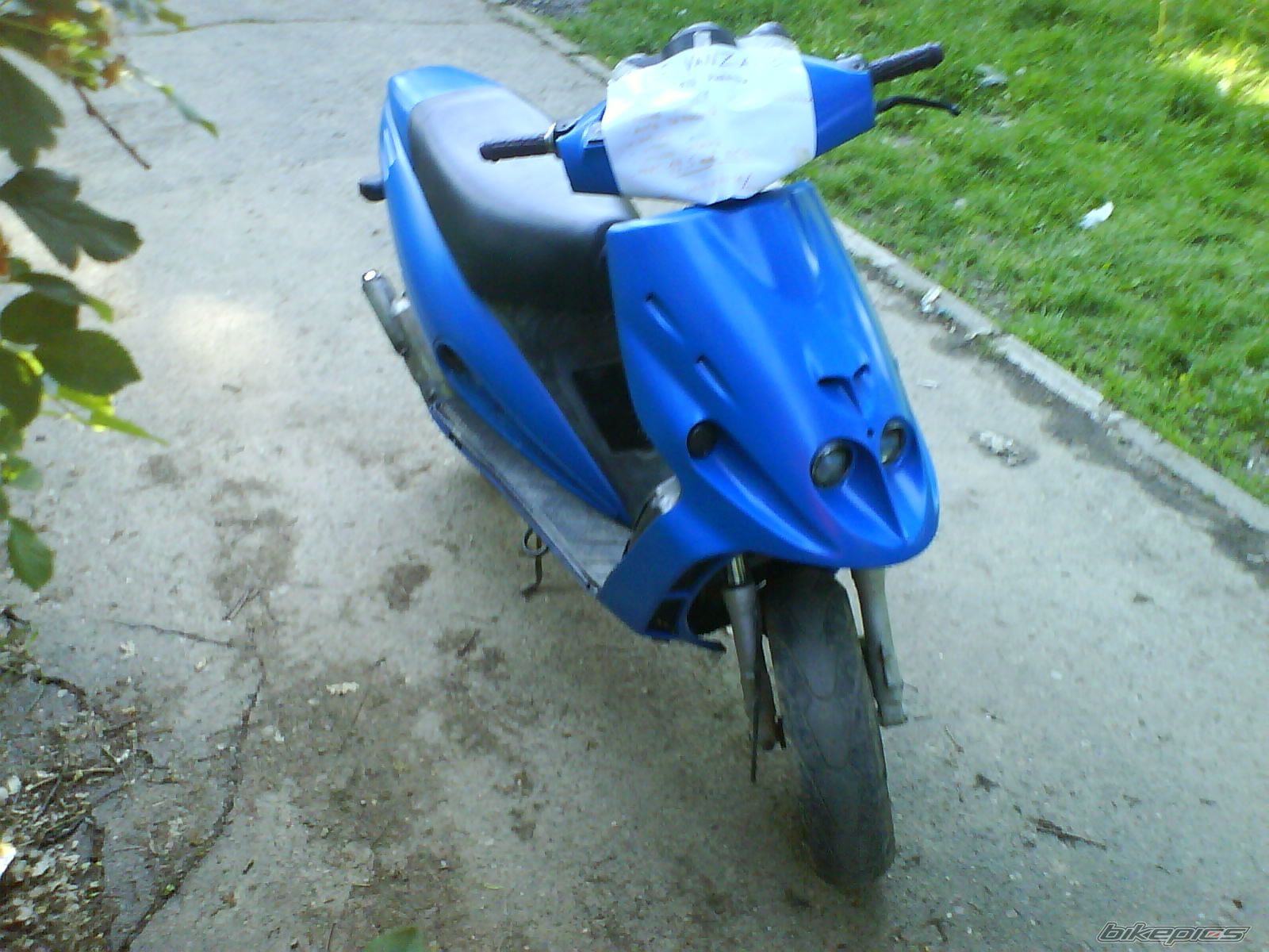 Photo 1591209