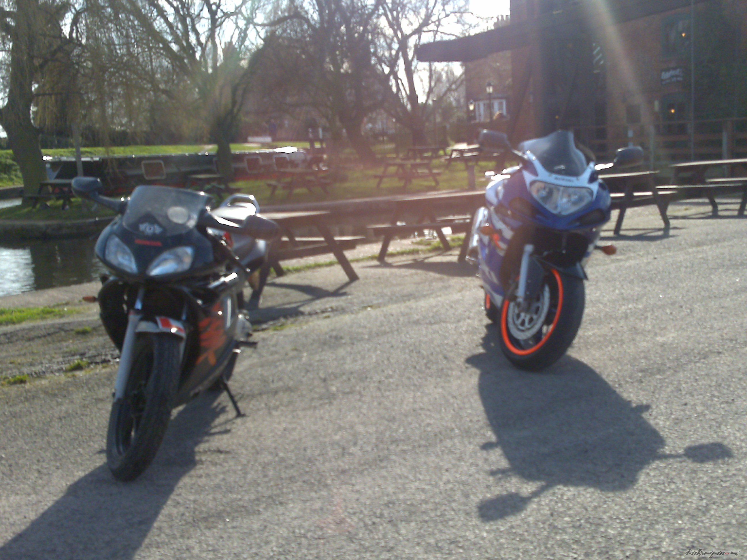 Photo 1591254