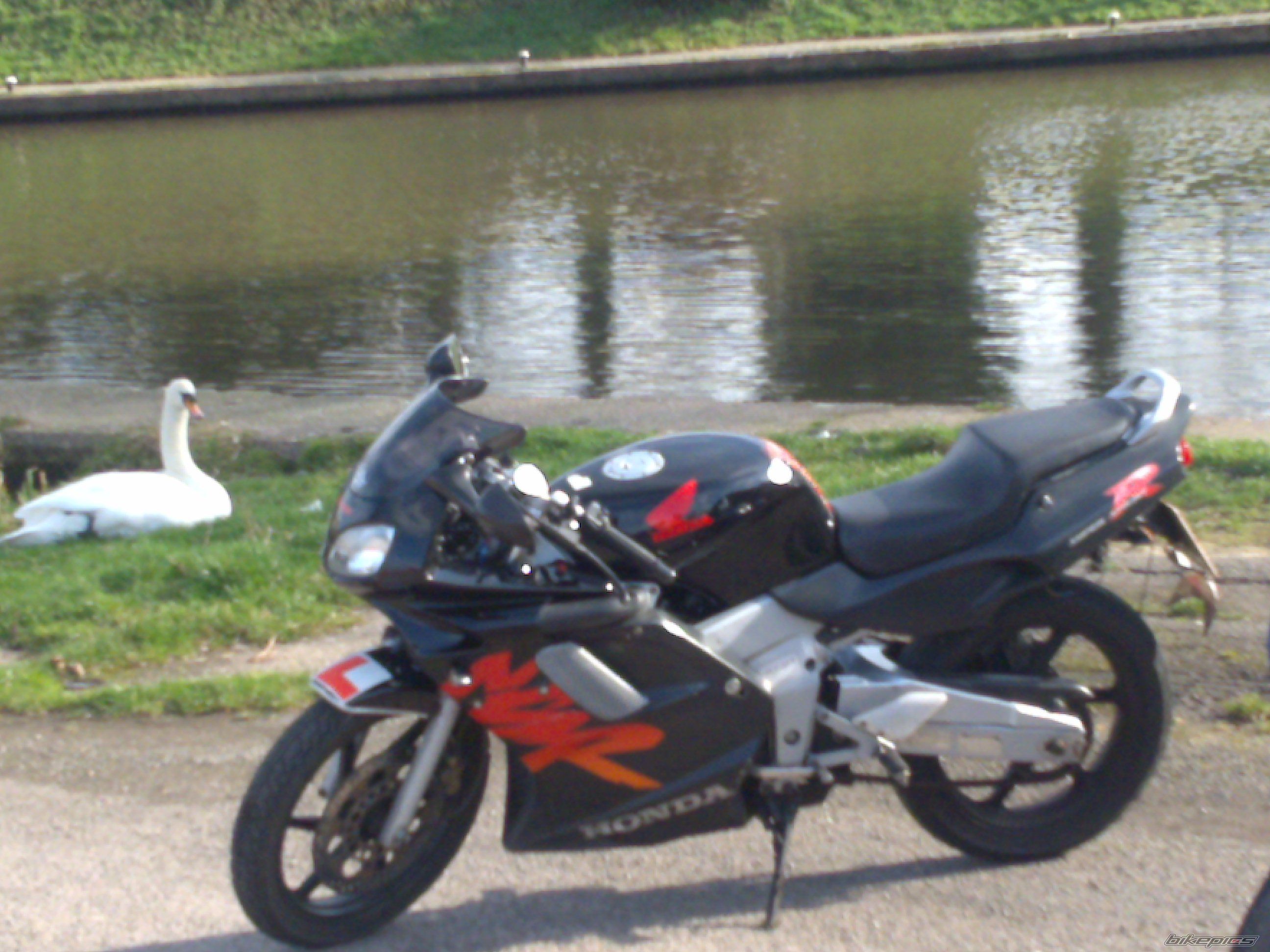 Photo 1591257