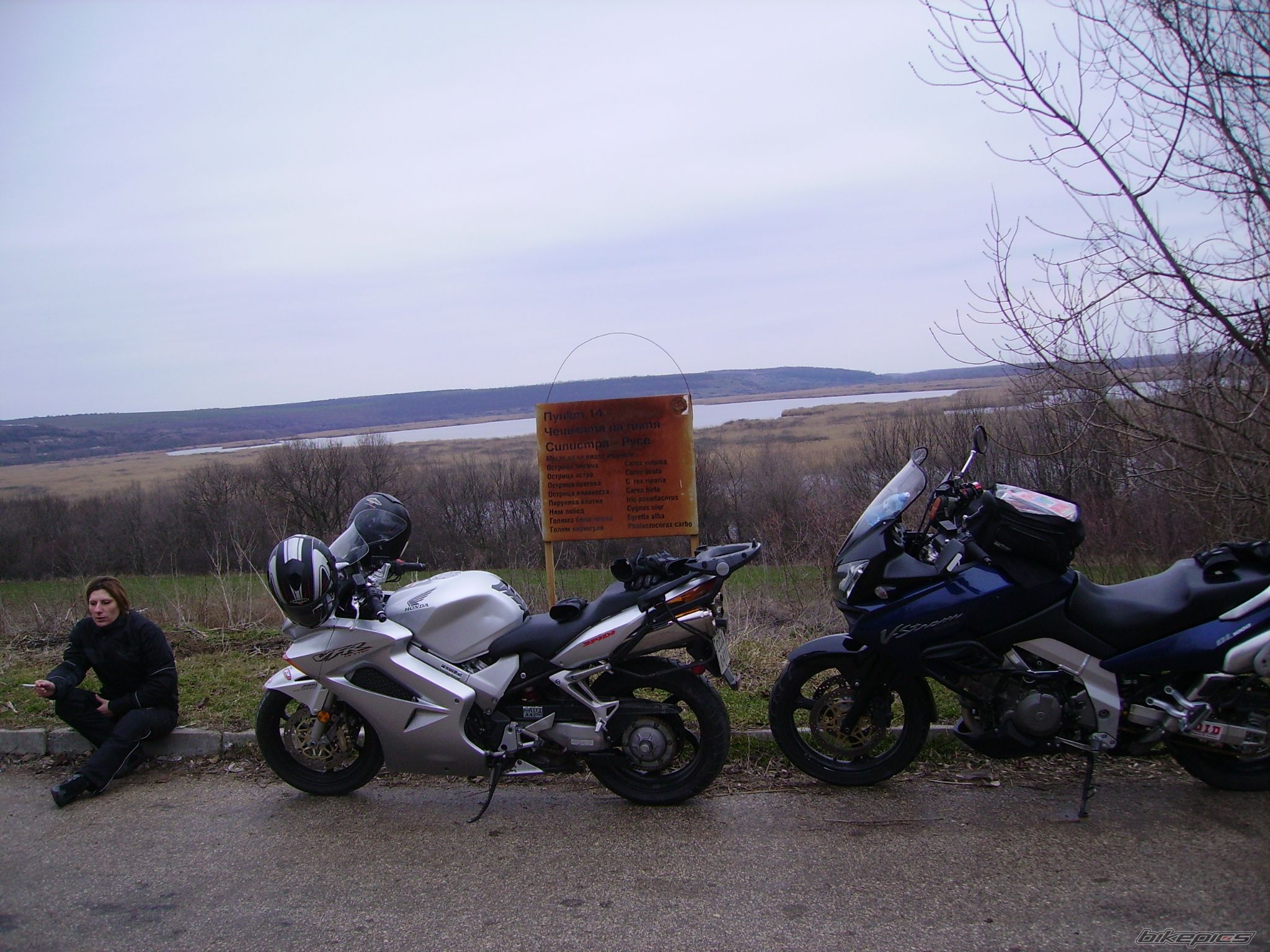 Photo 1591259