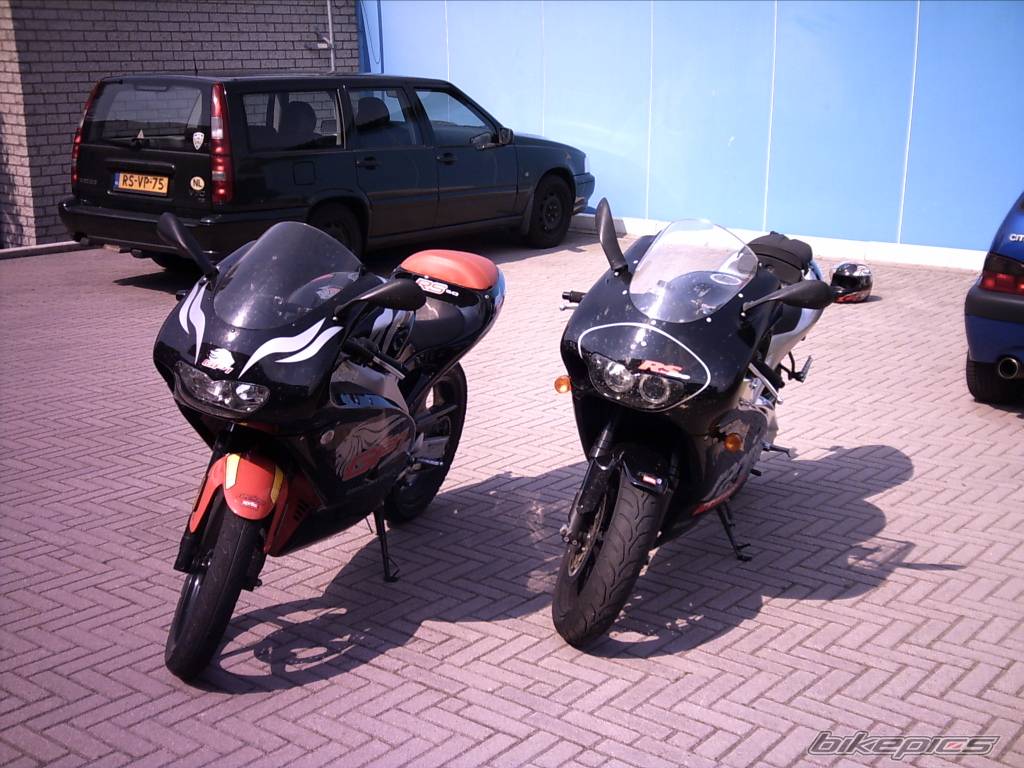 Photo 159145