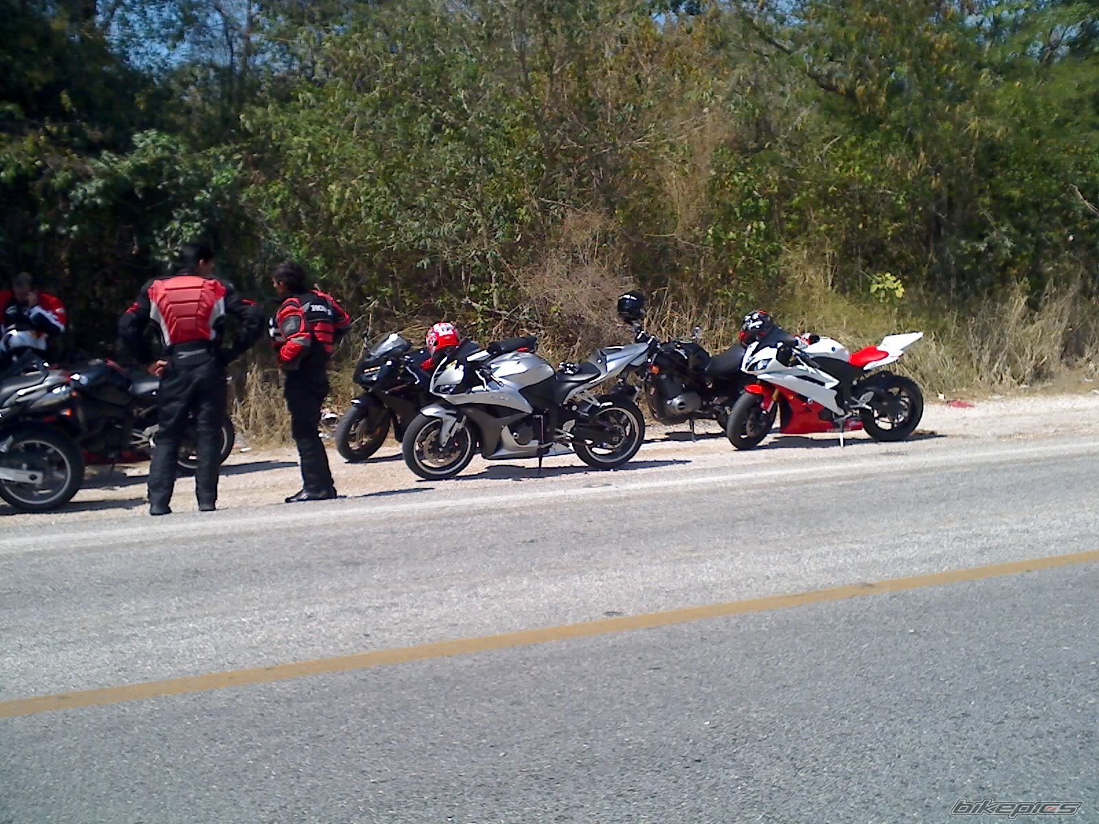 Photo 1591452