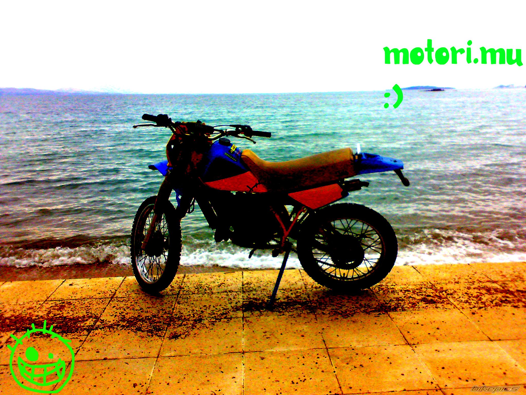 Bike Photo 1591461