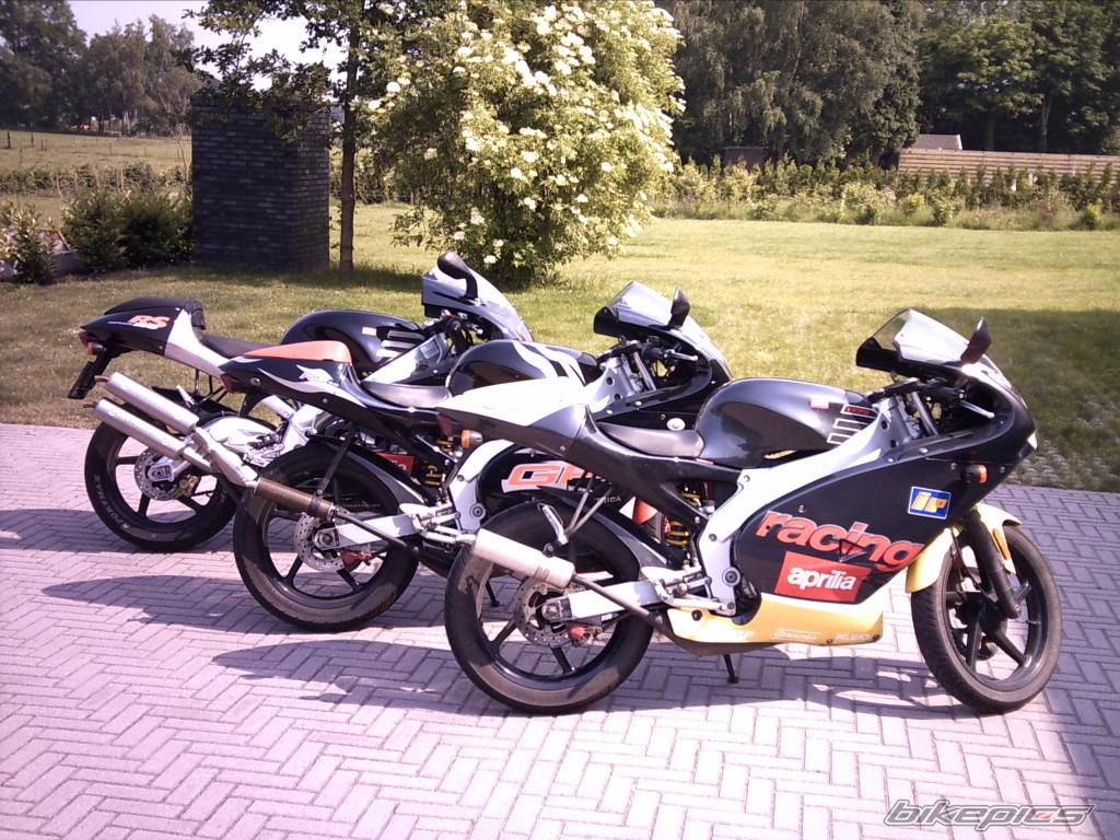 Photo 159150