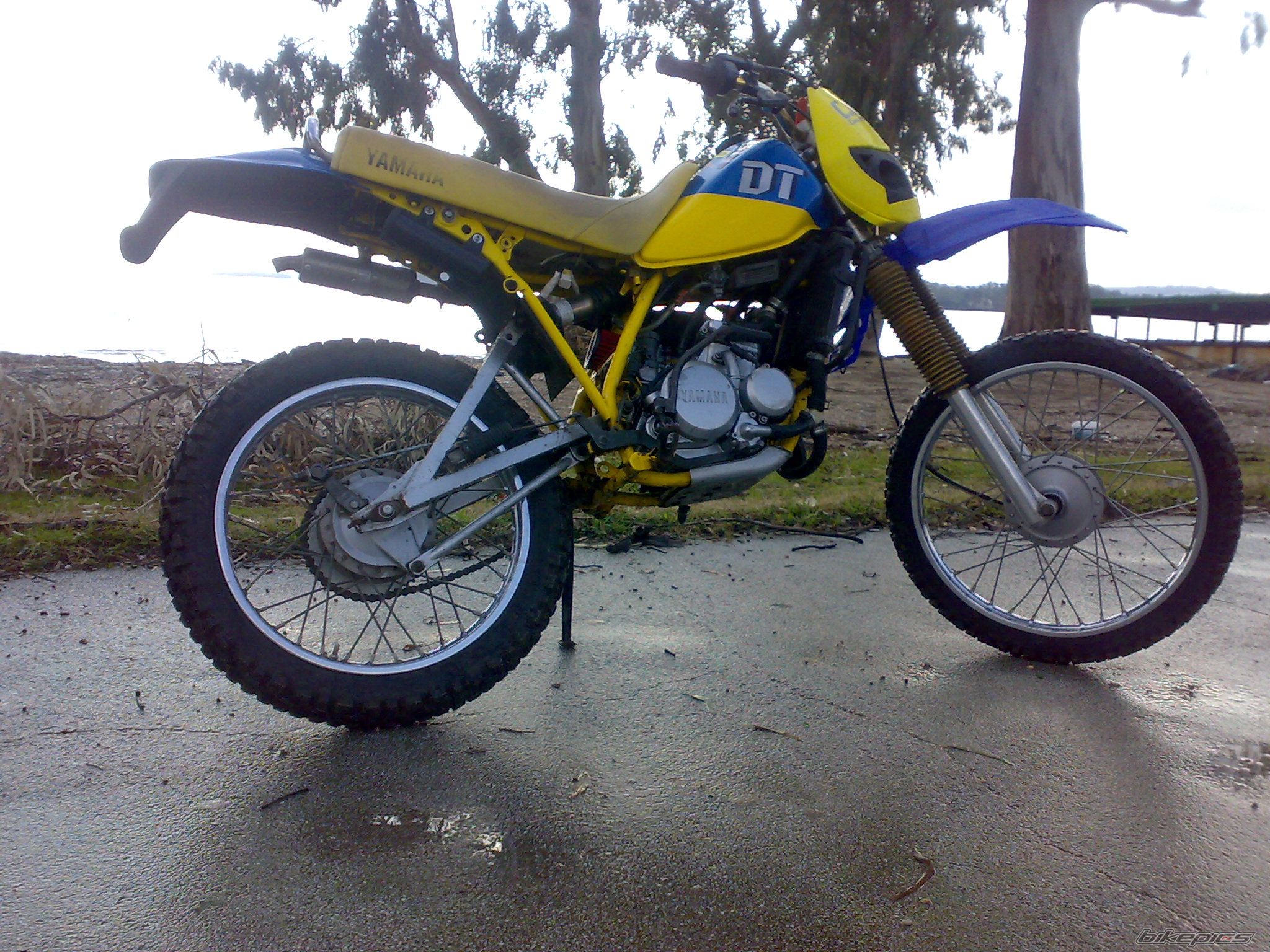 Bike Photo 1591539