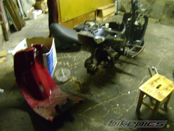 Photo 1591559