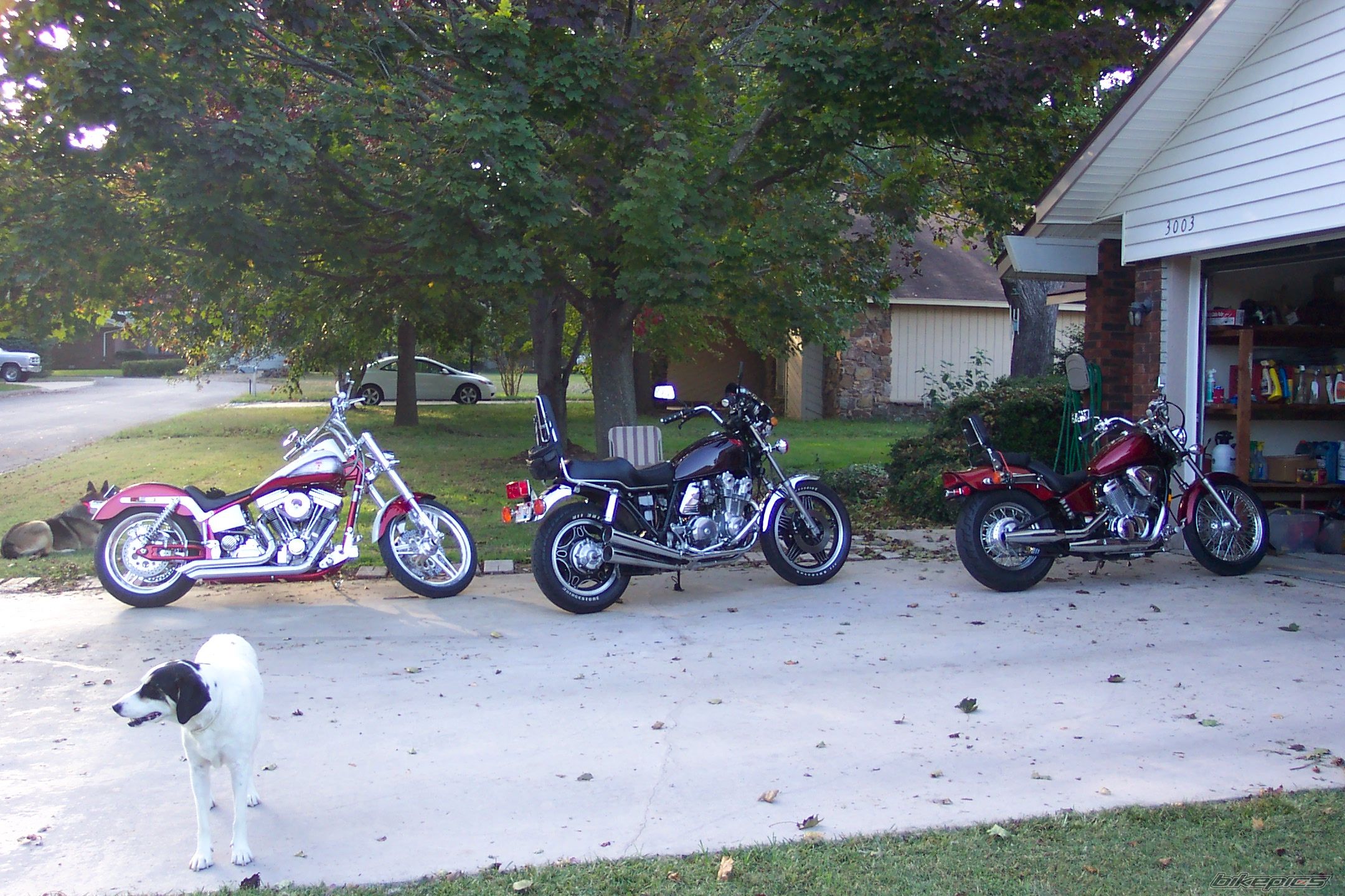 Photo 1591791