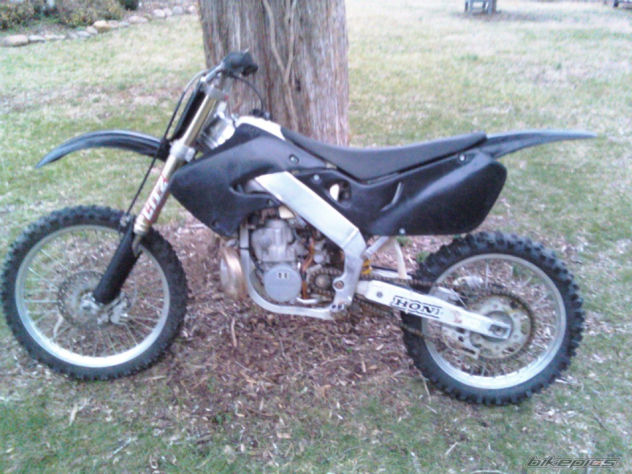 Photo 1591819