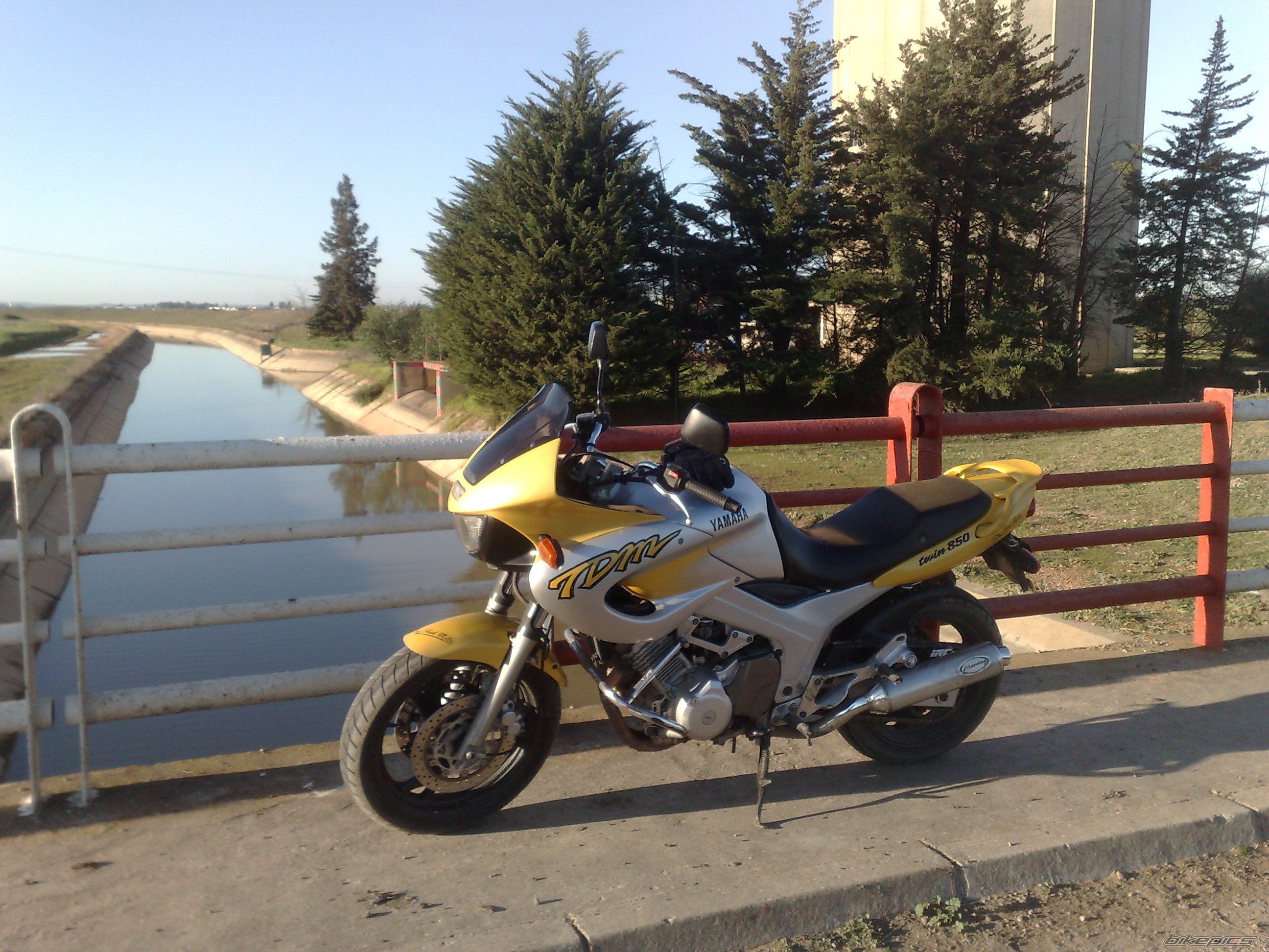 Photo 1591834