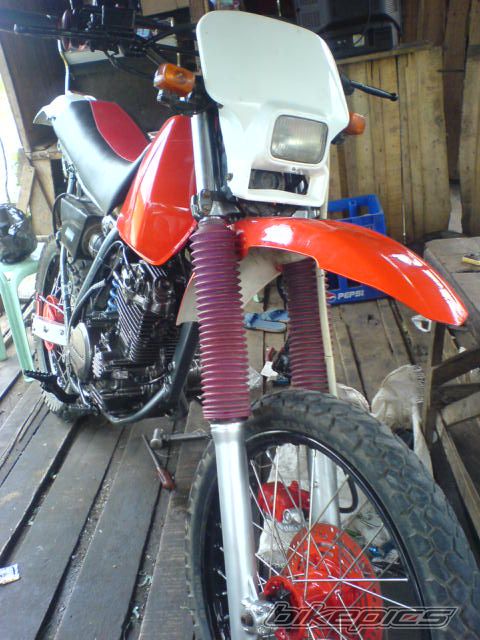 Photo 1591849