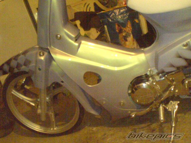 Bike Photo 1591866