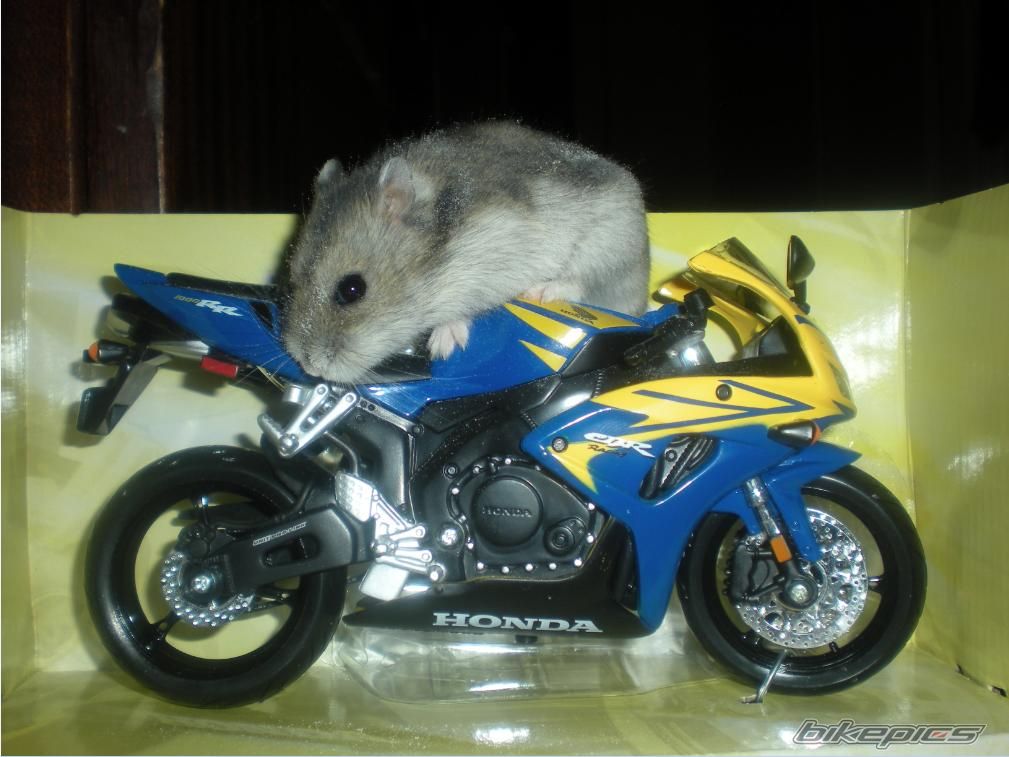 Bike Photo 1591882