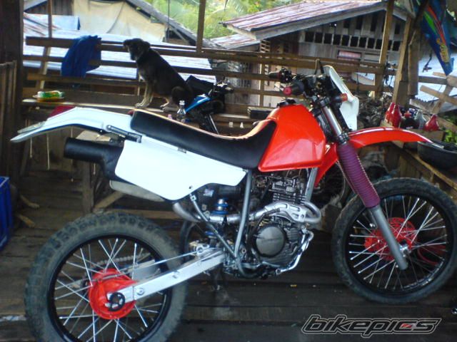Bike Photo 1591986