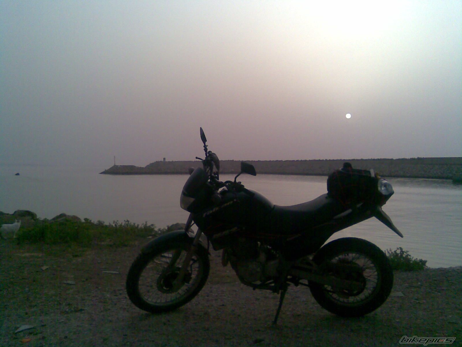 Photo 1592001