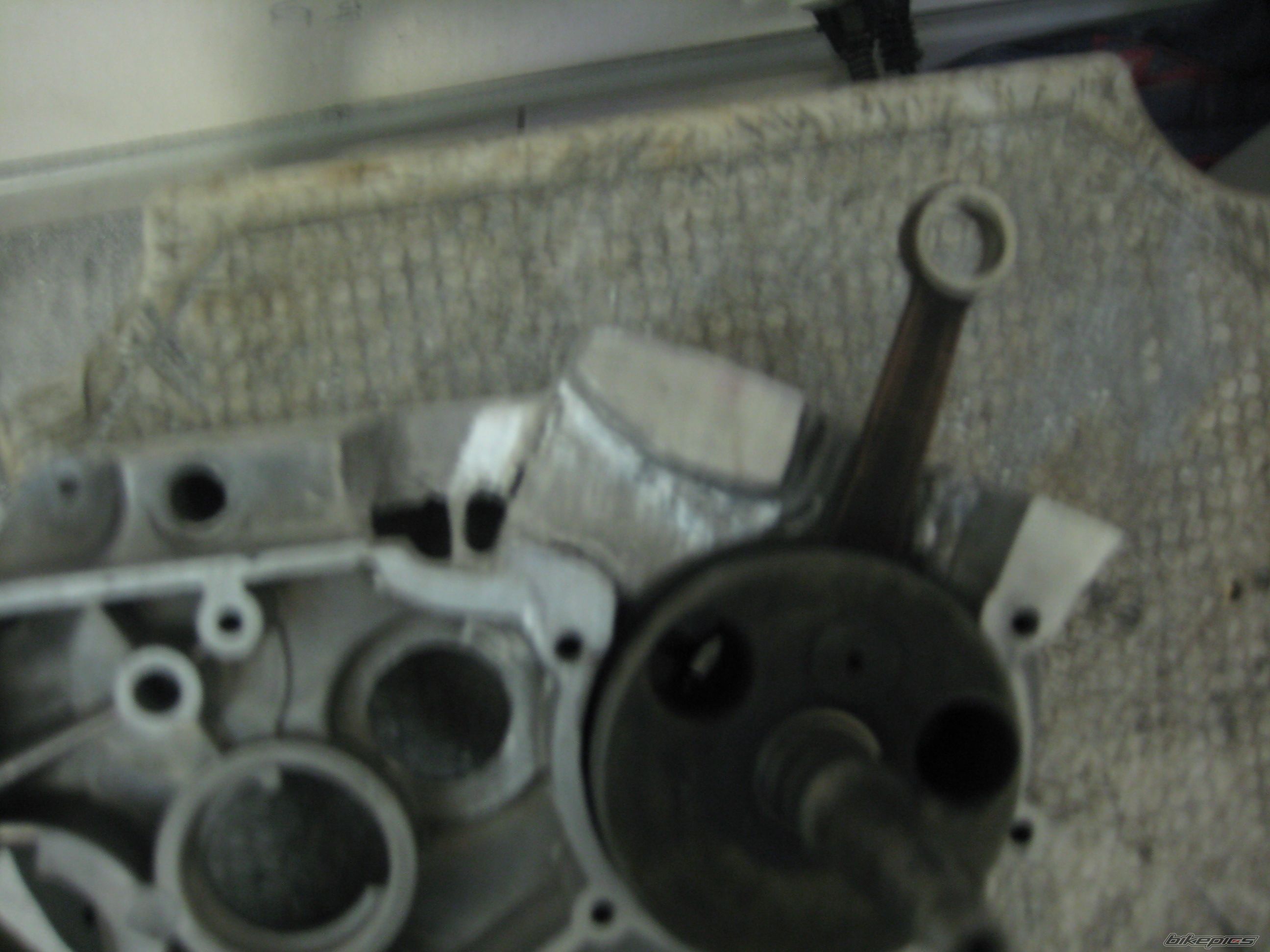Photo 1592269