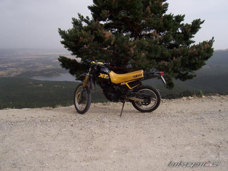Photo 1592270
