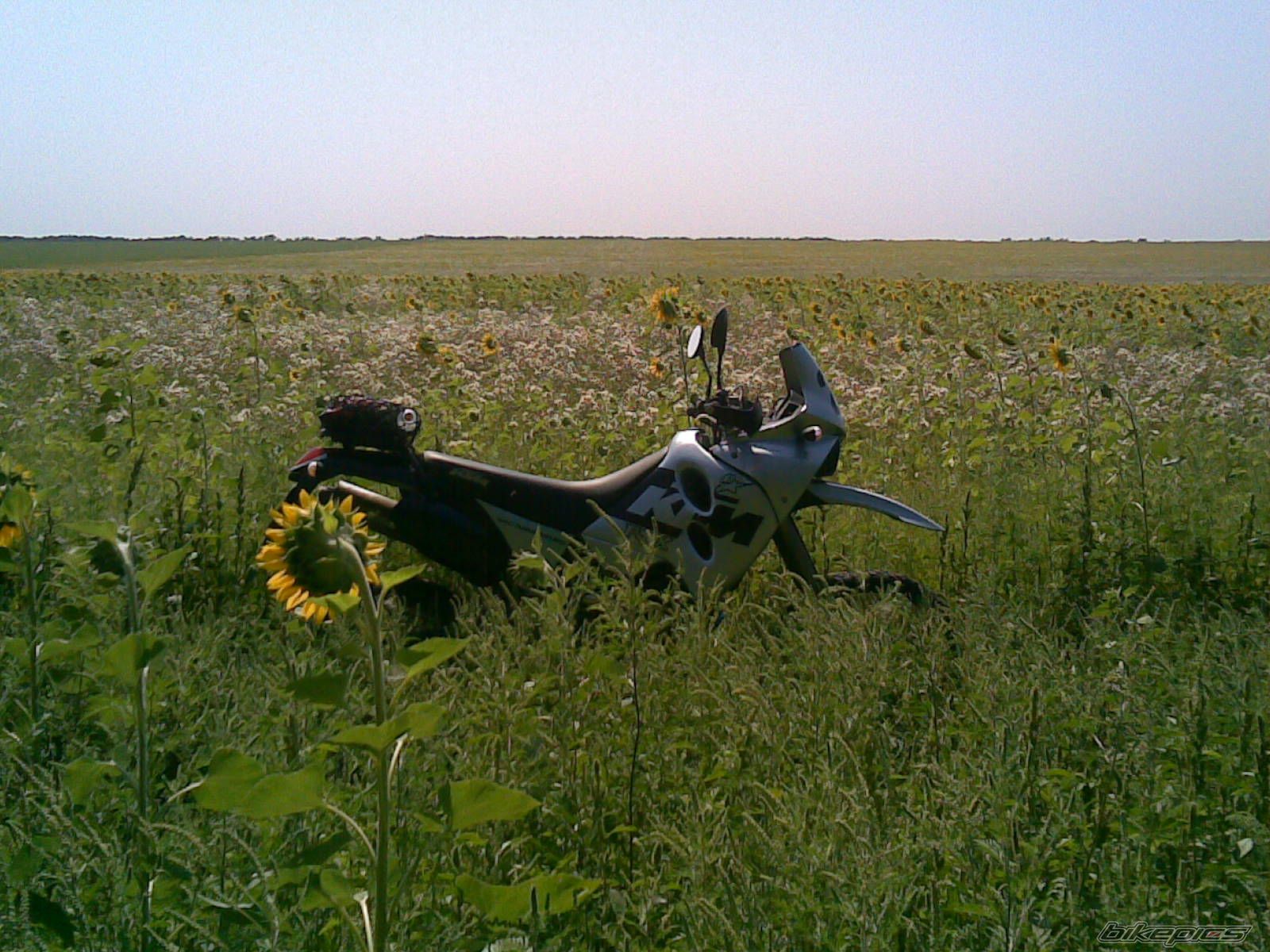 Photo 1592378