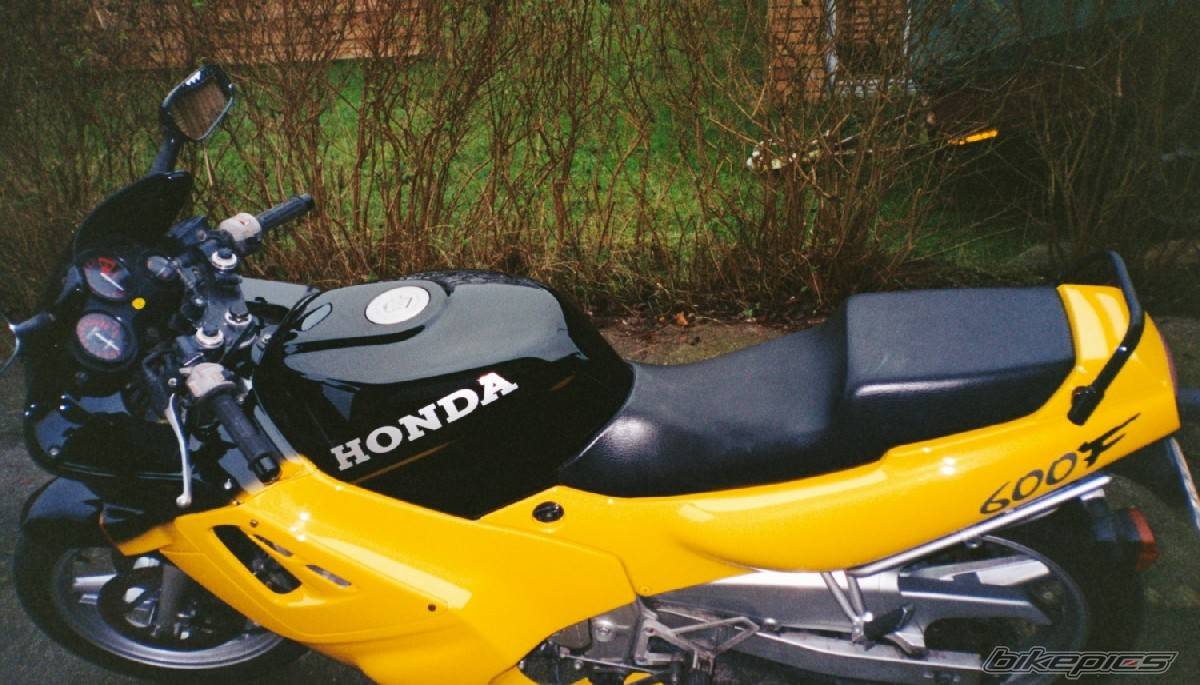 Photo 15924