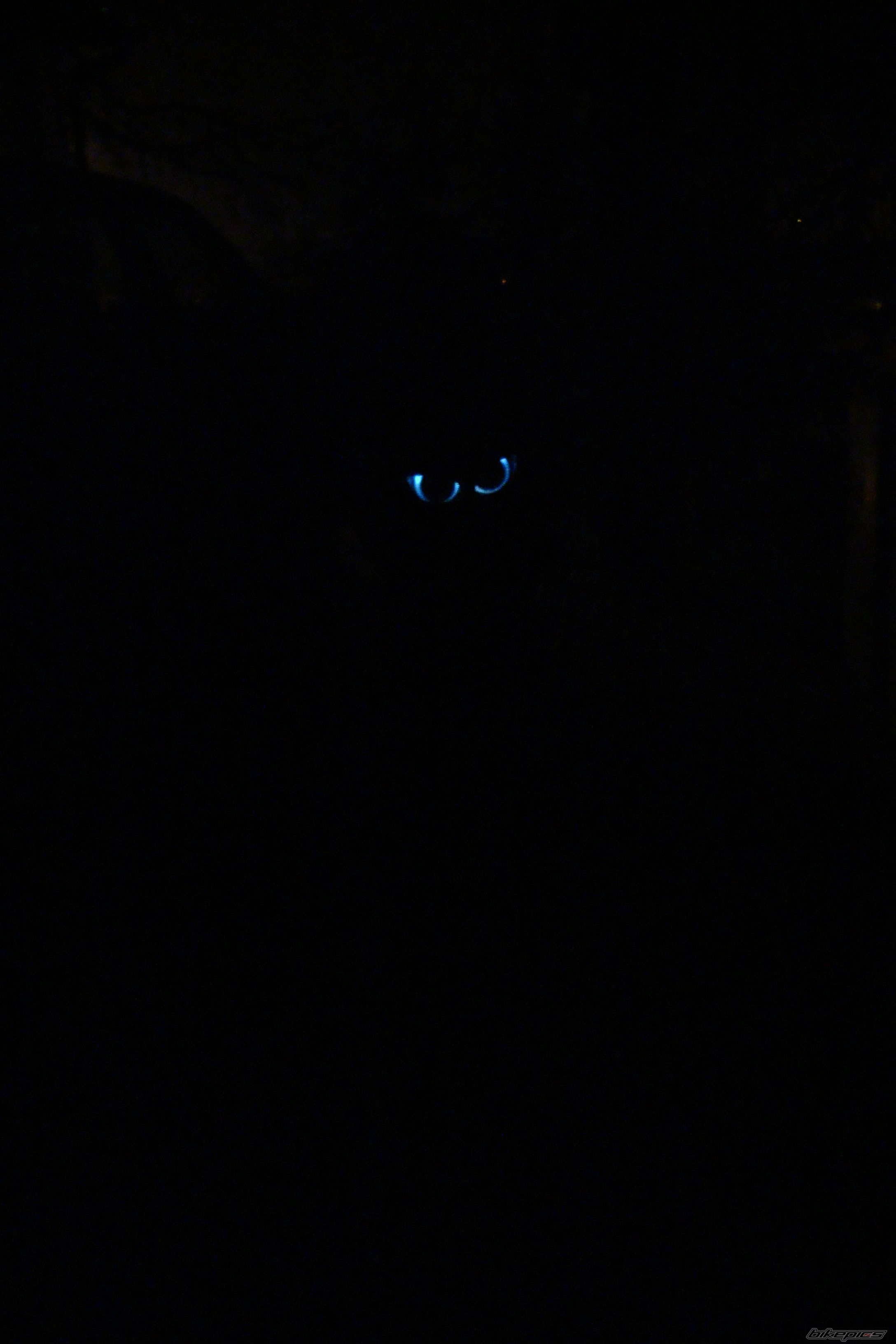 Photo 1592523