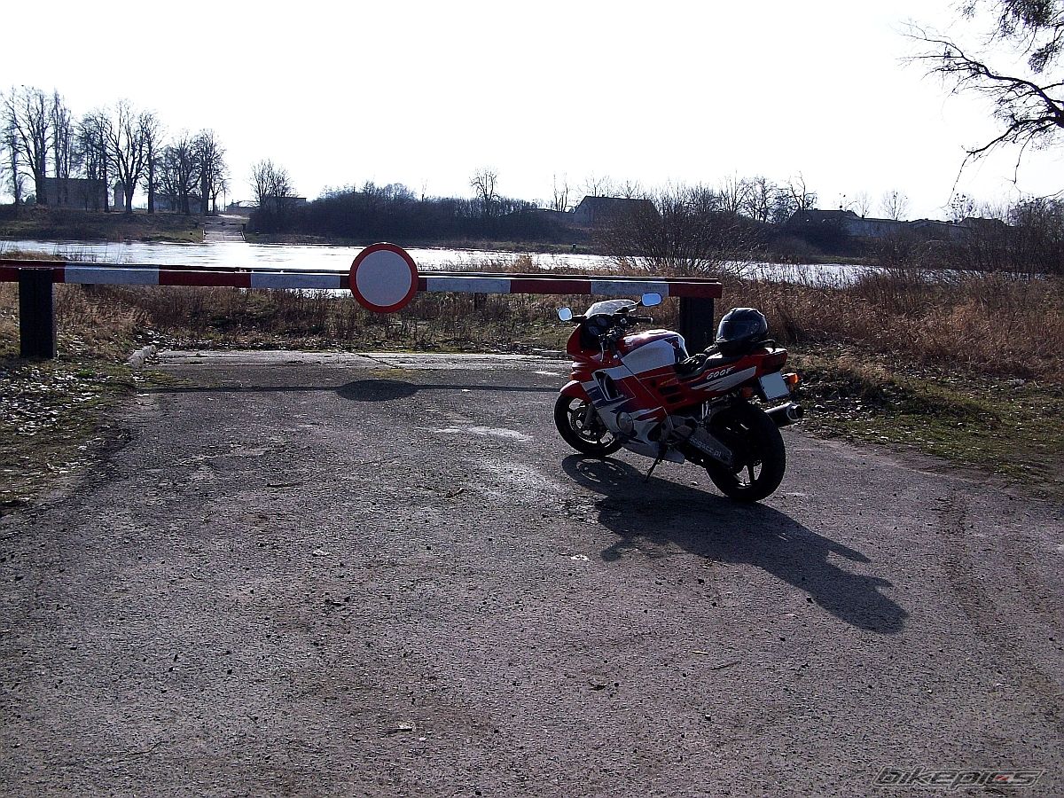 Photo 1593259